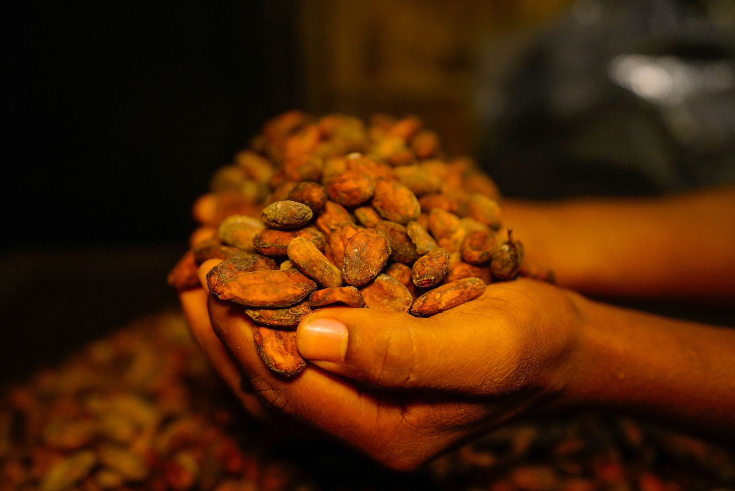 Une expérience symbolique : la cérémonie du Cacao